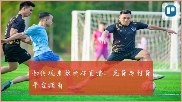 如何观看欧洲杯直播：免费与付费平台指南