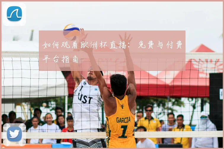 如何观看欧洲杯直播：免费与付费平台指南